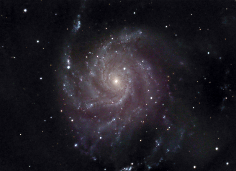 Pinwheel Galaxy with Supernova